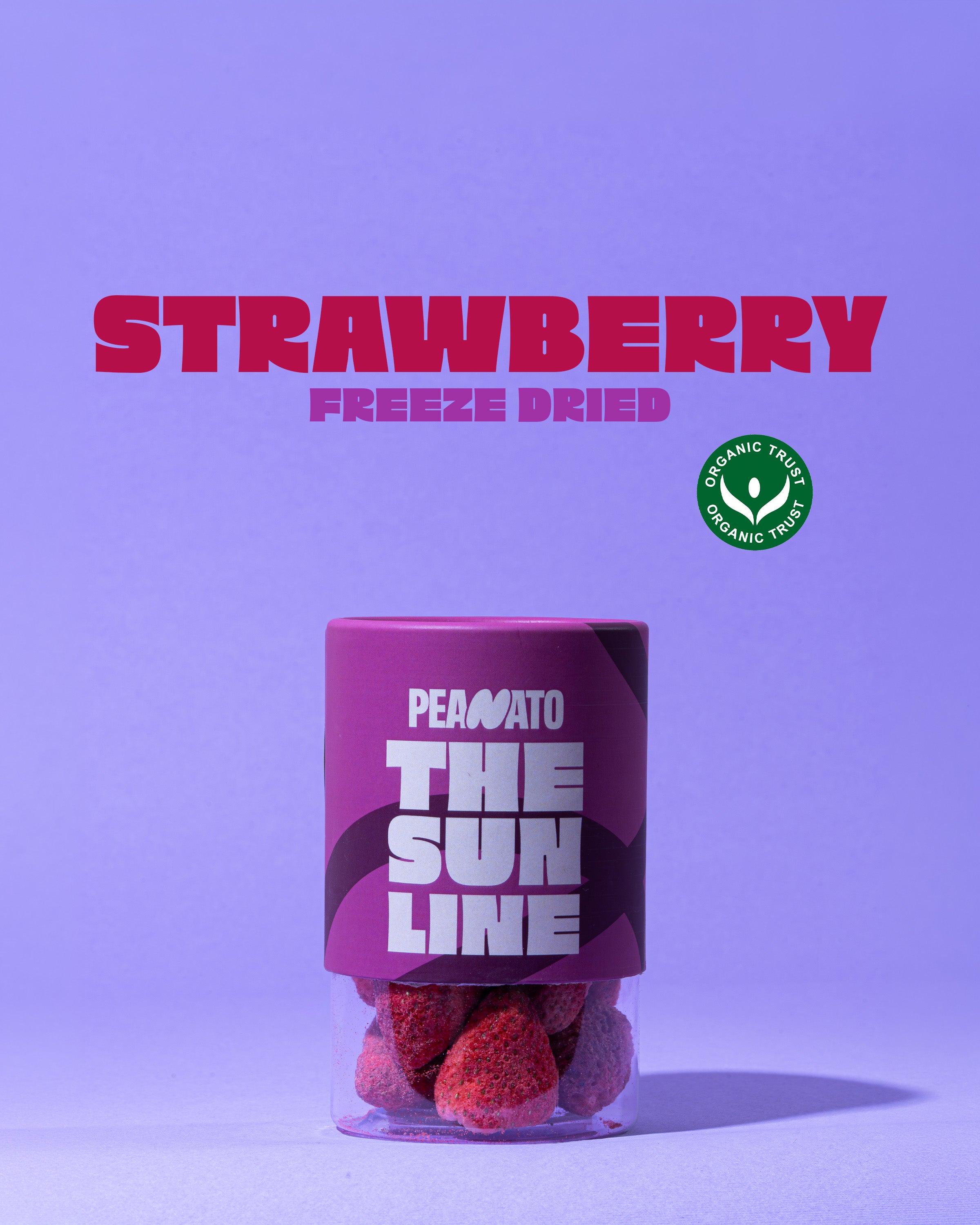 The Freeze Dried Strawberry